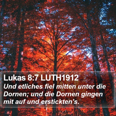 Lukas 8:7 LUTH1912 Bible Verse Image