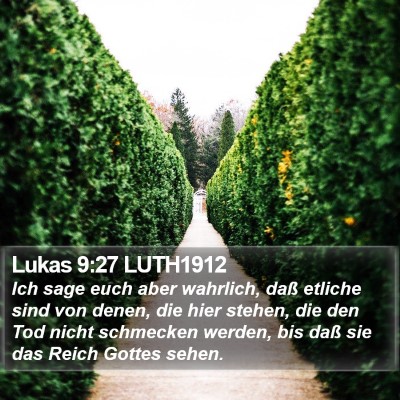 Lukas 9:27 LUTH1912 Bible Verse Image