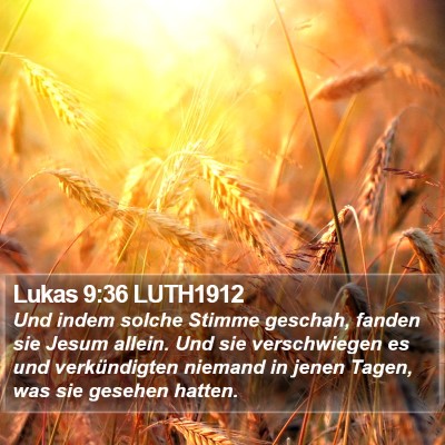 Lukas 9:36 LUTH1912 Bible Verse Image