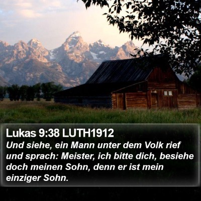 Lukas 9:38 LUTH1912 Bible Verse Image