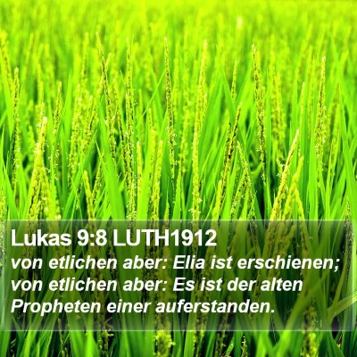 Lukas 9:8 LUTH1912 Bible Verse Image