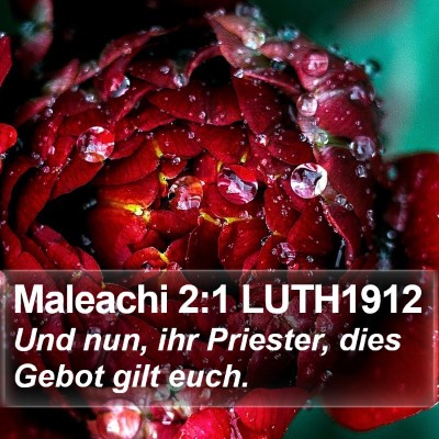 Maleachi 2:1 LUTH1912 Bible Verse Image