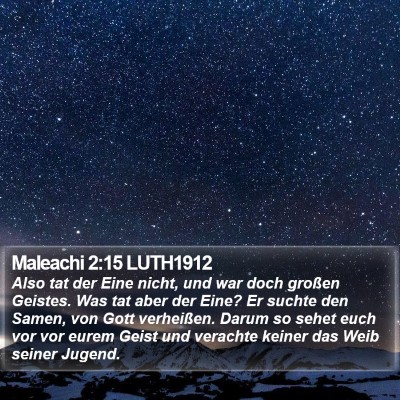 Maleachi 2:15 LUTH1912 Bible Verse Image
