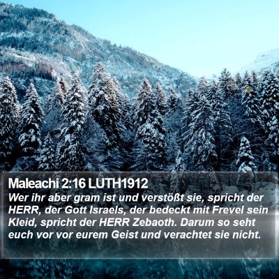 Maleachi 2:16 LUTH1912 Bible Verse Image
