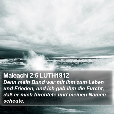 Maleachi 2:5 LUTH1912 Bible Verse Image