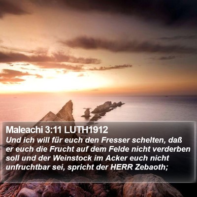 Maleachi 3:11 LUTH1912 Bible Verse Image