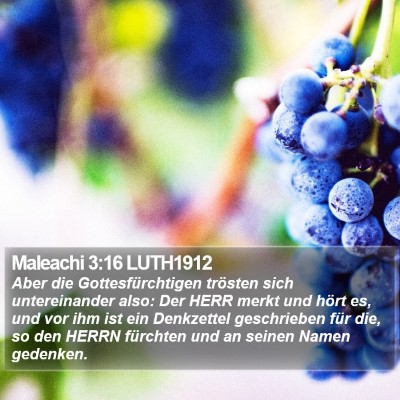 Maleachi 3:16 LUTH1912 Bible Verse Image