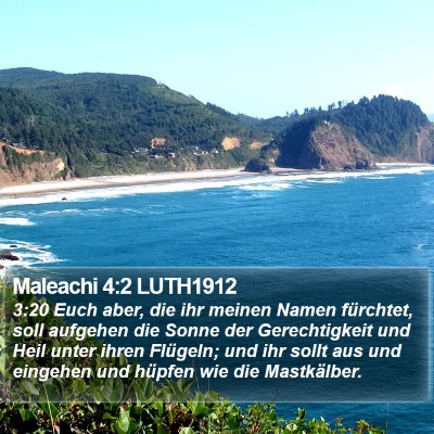 Maleachi 4:2 LUTH1912 Bible Verse Image