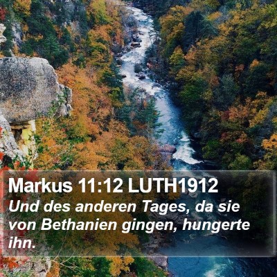 Markus 11:12 LUTH1912 Bible Verse Image