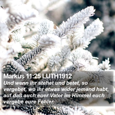 Markus 11:25 LUTH1912 Bible Verse Image