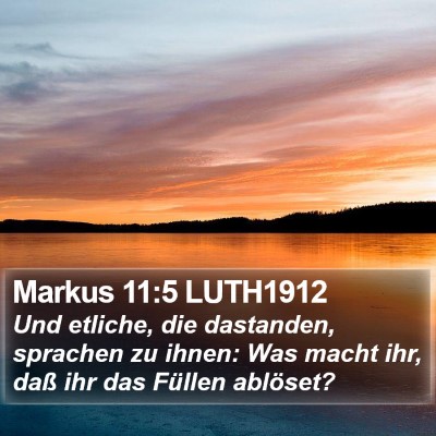 Markus 11:5 LUTH1912 Bible Verse Image