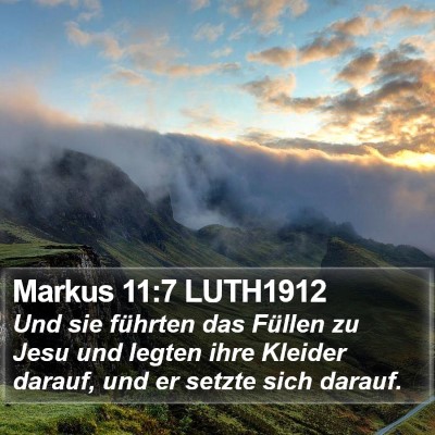 Markus 11:7 LUTH1912 Bible Verse Image