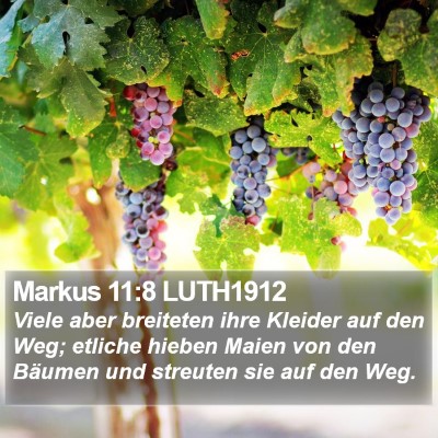 Markus 11:8 LUTH1912 Bible Verse Image