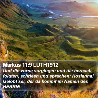 Markus 11:9 LUTH1912 Bible Verse Image