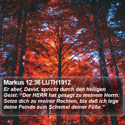 Markus 12:36 LUTH1912 Bible Verse Image