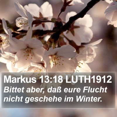 Markus 13:18 LUTH1912 Bible Verse Image
