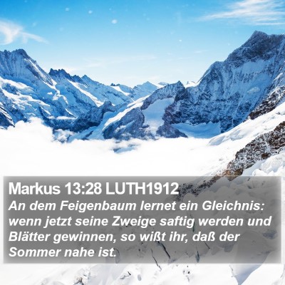 Markus 13:28 LUTH1912 Bible Verse Image
