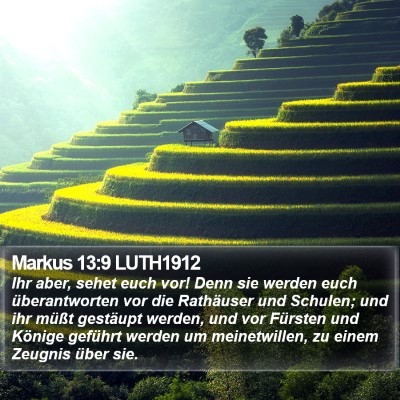 Markus 13:9 LUTH1912 Bible Verse Image