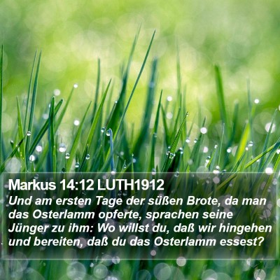 Markus 14:12 LUTH1912 Bible Verse Image