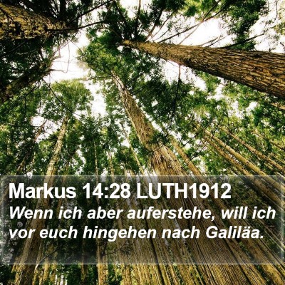 Markus 14:28 LUTH1912 Bible Verse Image