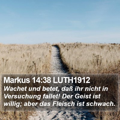 Markus 14:38 LUTH1912 Bible Verse Image