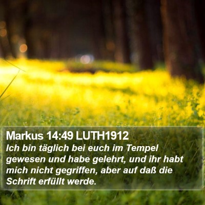 Markus 14:49 LUTH1912 Bible Verse Image
