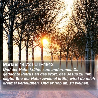Markus 14:72 LUTH1912 Bible Verse Image