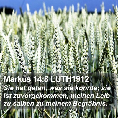 Markus 14:8 LUTH1912 Bible Verse Image