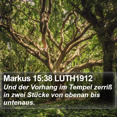 Markus 15:38 LUTH1912 Bible Verse Image
