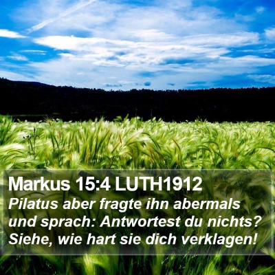 Markus 15:4 LUTH1912 Bible Verse Image
