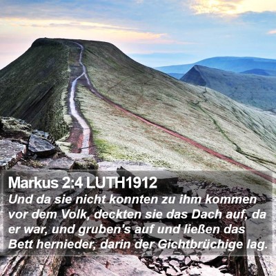 Markus 2:4 LUTH1912 Bible Verse Image