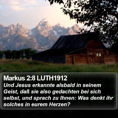 Markus 2:8 LUTH1912 Bible Verse Image