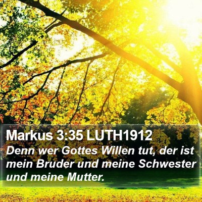 Markus 3:35 LUTH1912 Bible Verse Image