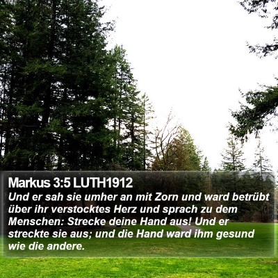 Markus 3:5 LUTH1912 Bible Verse Image