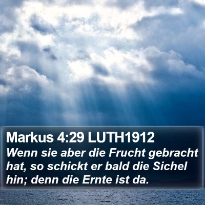 Markus 4:29 LUTH1912 Bible Verse Image