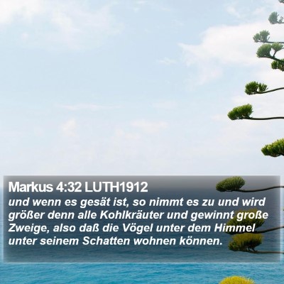 Markus 4:32 LUTH1912 Bible Verse Image