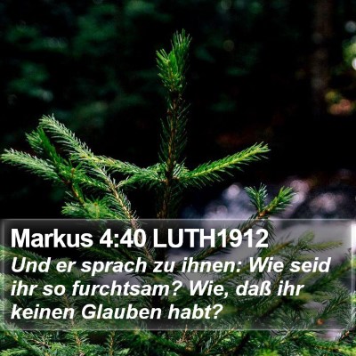 Markus 4:40 LUTH1912 Bible Verse Image
