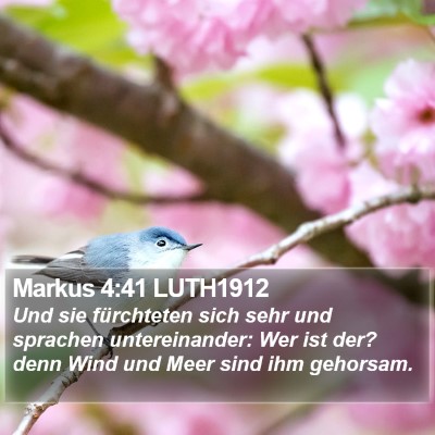Markus 4:41 LUTH1912 Bible Verse Image