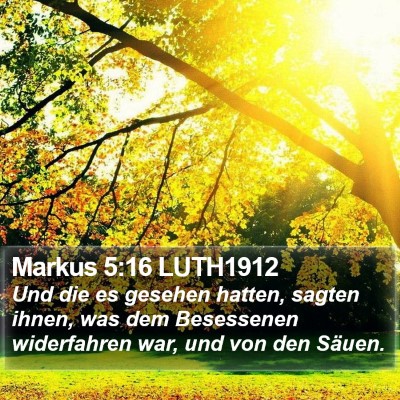 Markus 5:16 LUTH1912 Bible Verse Image