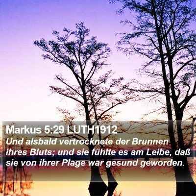Markus 5:29 LUTH1912 Bible Verse Image