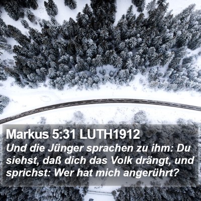 Markus 5:31 LUTH1912 Bible Verse Image