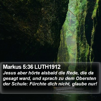 Markus 5:36 LUTH1912 Bible Verse Image