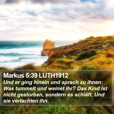 Markus 5:39 LUTH1912 Bible Verse Image