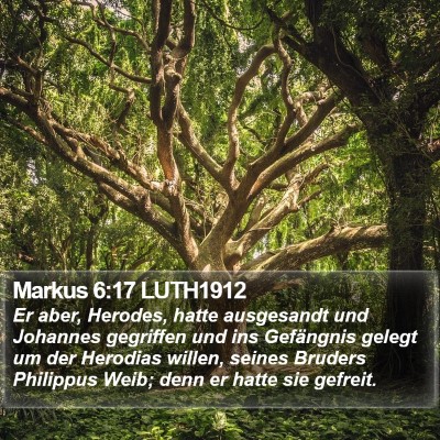 Markus 6:17 LUTH1912 Bible Verse Image