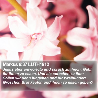 Markus 6:37 LUTH1912 Bible Verse Image