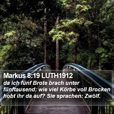 Markus 8:19 LUTH1912 Bible Verse Image