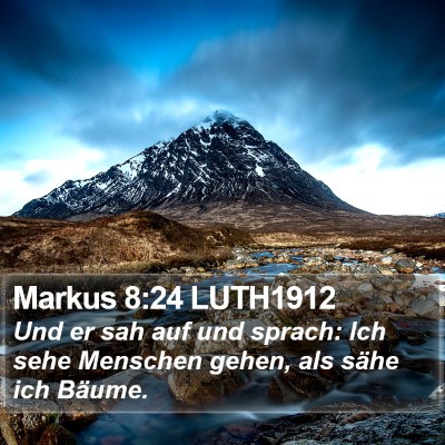 Markus 8:24 LUTH1912 Bible Verse Image