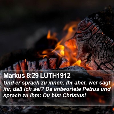 Markus 8:29 LUTH1912 Bible Verse Image