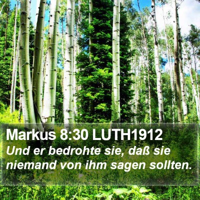 Markus 8:30 LUTH1912 Bible Verse Image
