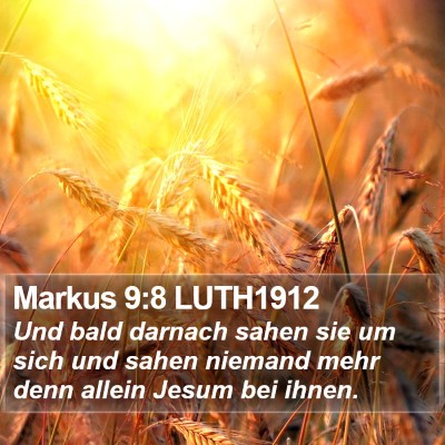 Markus 9:8 LUTH1912 Bible Verse Image